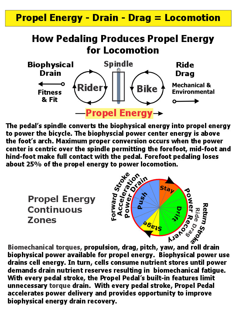 Pedal Type Efficiency